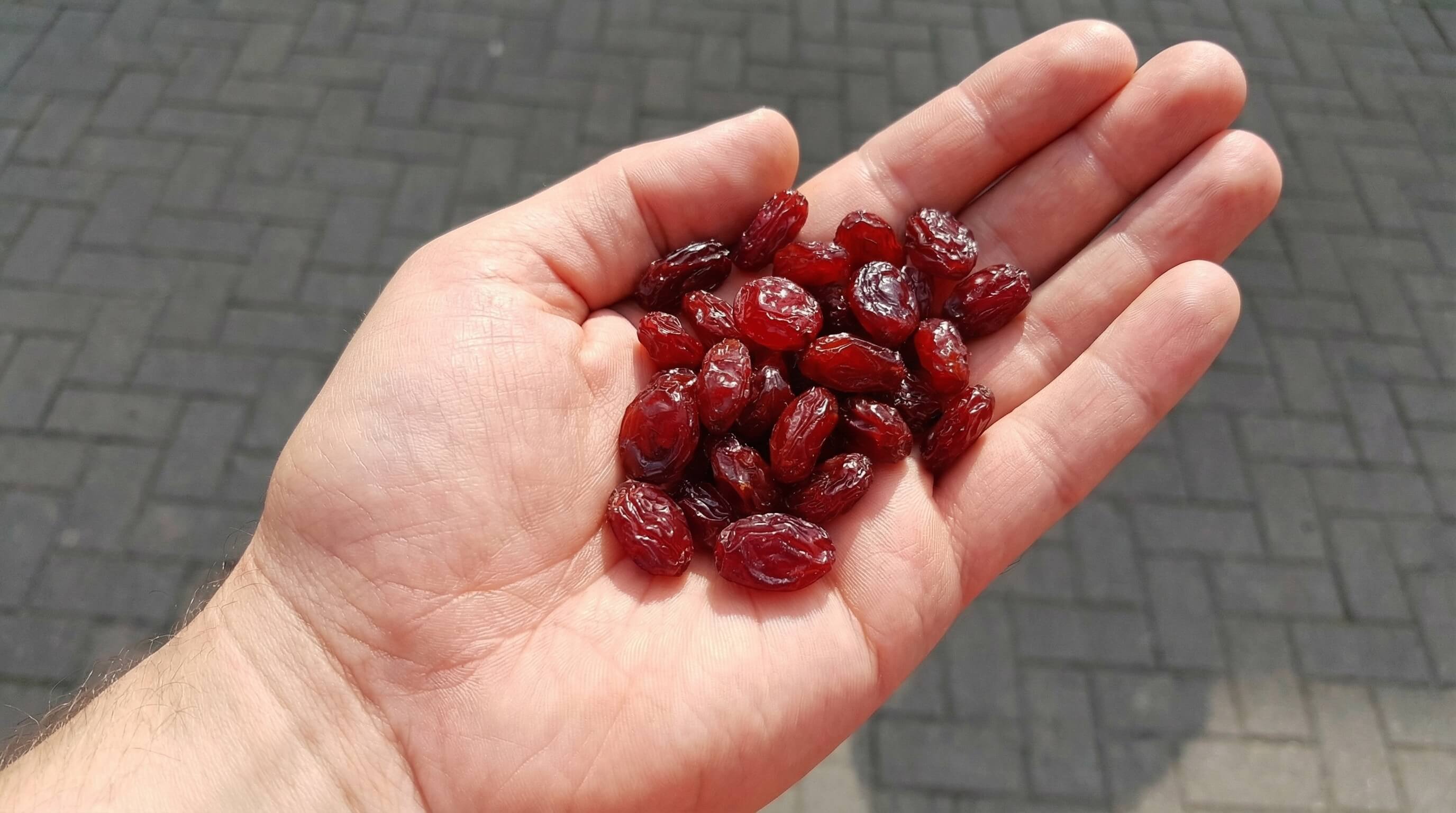 Red Raisins