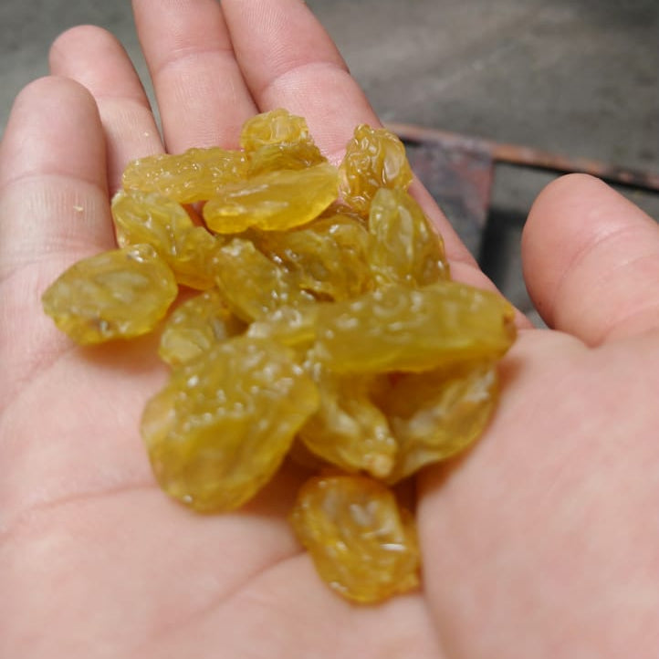 Hand holding a small pile of yellow dried fruits against a blurred background